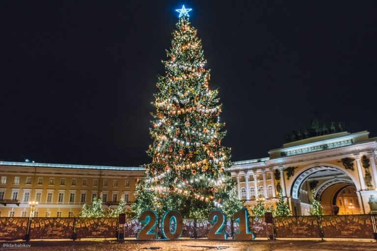 Петербуржцы начали выбирать главную елку Северной столицы