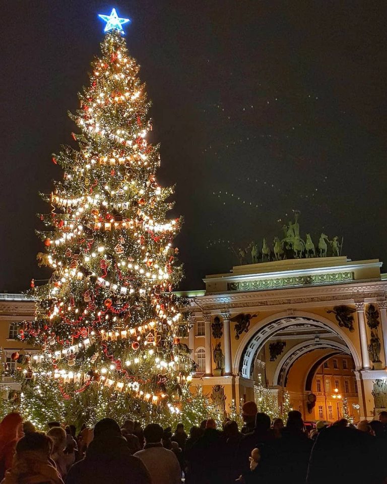 В Ленобласти выбрали новогоднюю елку для Дворцовой площади