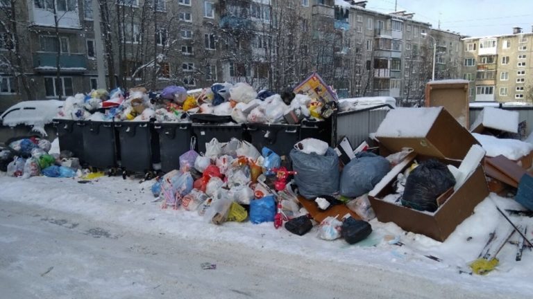 В Петербурге вводятся новые стандарты обращения с мусором