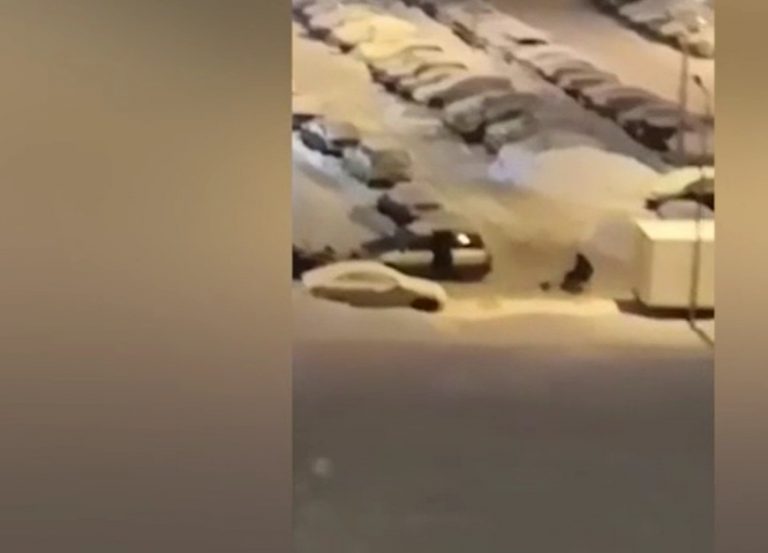 По вине Смольного инвалиды сами вынуждены убирать снег во дворах Петербурга