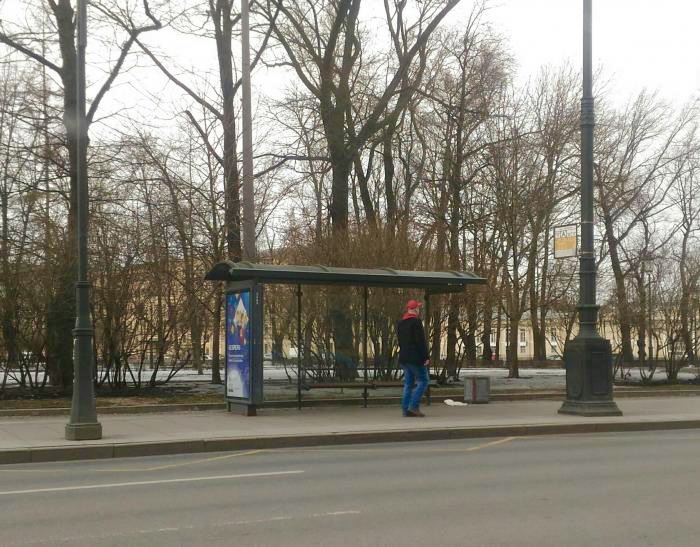 Петербуржцы рассказали об «остановках Шредингера» после старта транспортной реформы