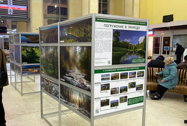 Выставку «Погружение в природу» открыли на Московском вокзале