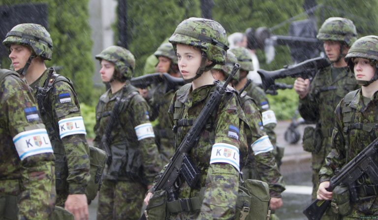 Таллиннская моська решила что сильна: Эстония затеяла военные игры на границах России